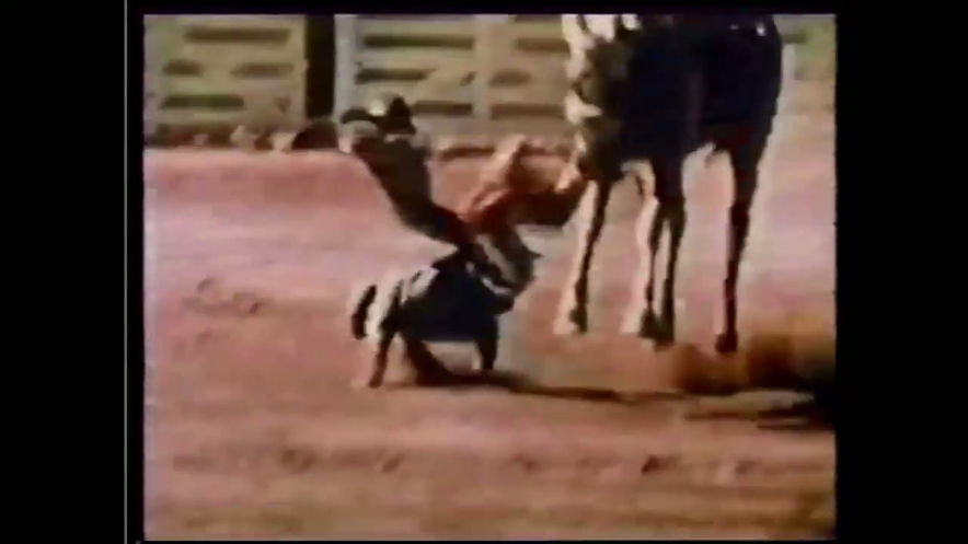 Look What I Found! Found Footage Film and Video 1936-2026 OPENING NIGHT SCREENING